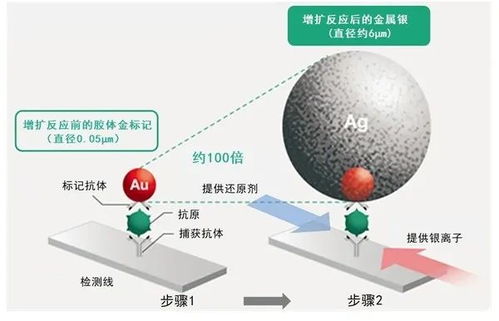 富士膠片開發(fā)高靈敏新冠檢測(cè)試劑盒 銀擴(kuò)增技術(shù)的技術(shù)創(chuàng)新與水源領(lǐng)域的交叉應(yīng)用
